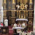 598628955 1174973478084678 1812676475879493929 N