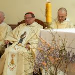 648635592_1348848050607640_8039555235960906547_n