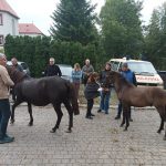 2023.10.11 - nowy koń z Iwonicza (4)