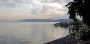 IMG 20201212 WA0003