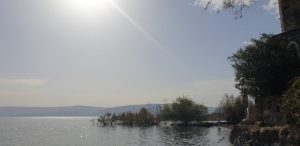 IMG 20201212 WA0005