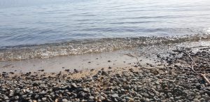 IMG 20201212 WA0008