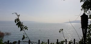 IMG 20201212 WA0018